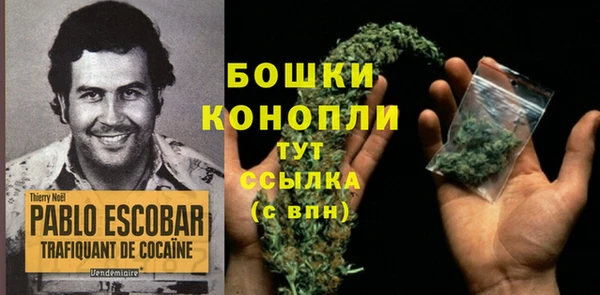 спиды Медвежьегорск