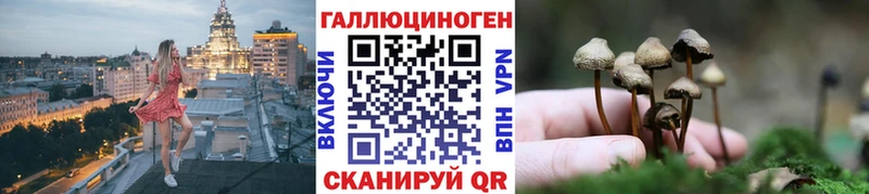 Псилоцибиновые грибы мицелий  закладка  mega ONION  Цоци-Юрт 