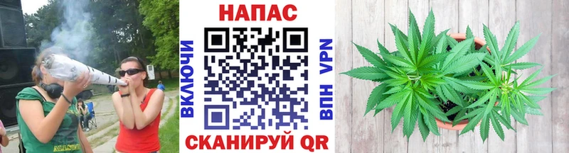 Канабис индика omg рабочий сайт Цоци-Юрт как найти закладки